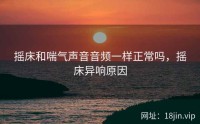 摇床和喘气声音音频一样正常吗，摇床异响原因