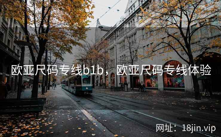 欧亚尺码专线b1b，欧亚尺码专线体验