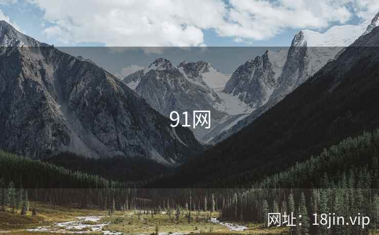 91网