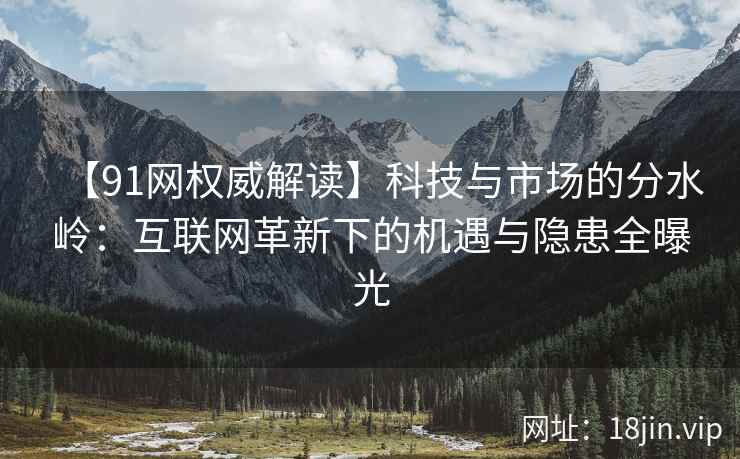 【91网权威解读】科技与市场的分水岭：互联网革新下的机遇与隐患全曝光
