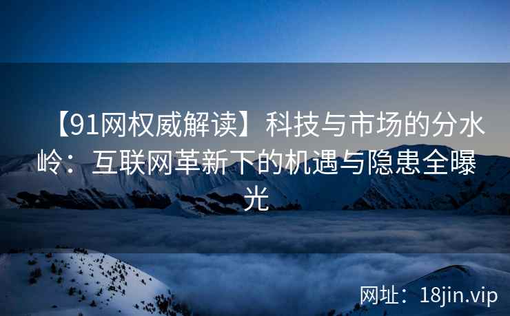 【91网权威解读】科技与市场的分水岭：互联网革新下的机遇与隐患全曝光