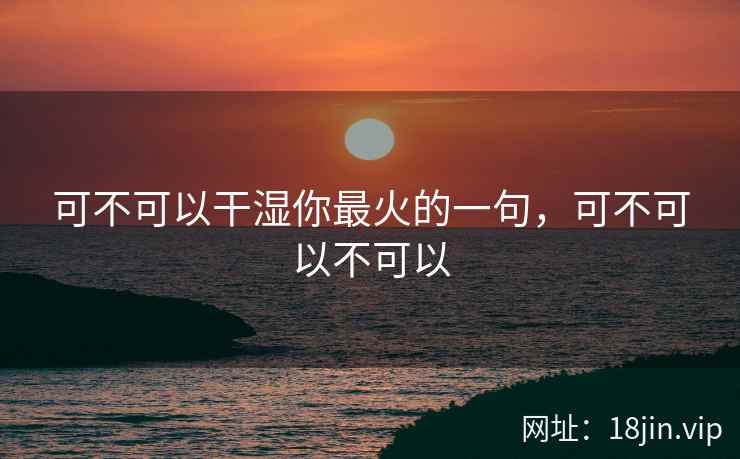 可不可以干湿你最火的一句，可不可以不可以