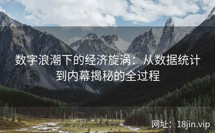 数字浪潮下的经济旋涡：从数据统计到内幕揭秘的全过程