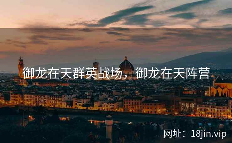 御龙在天群英战场，御龙在天阵营
