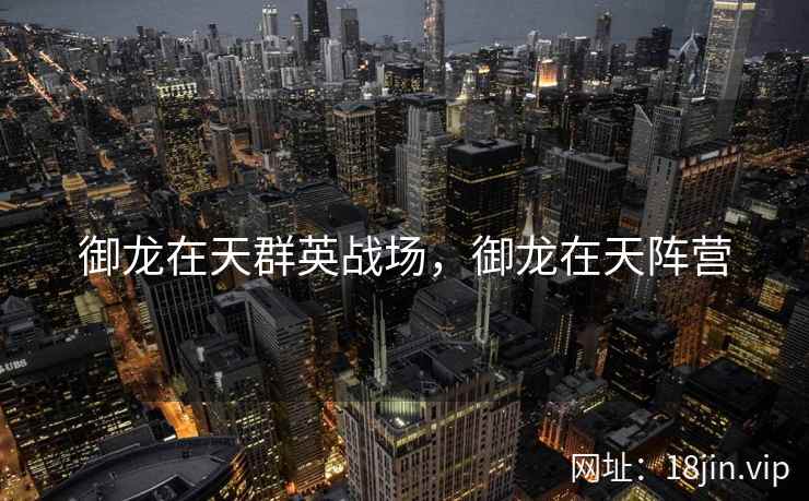 御龙在天群英战场，御龙在天阵营